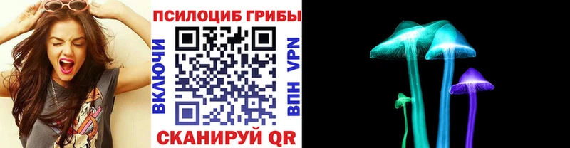 kraken рабочий сайт Волосово Галлюциногенные грибы Psilocybine cubensis дарнет шоп